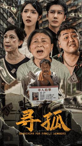 寻孤短剧(全集)