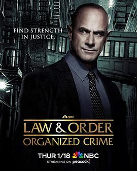 法律与秩序：组织犯罪第四季(全集)